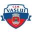 CSSM Vaslui